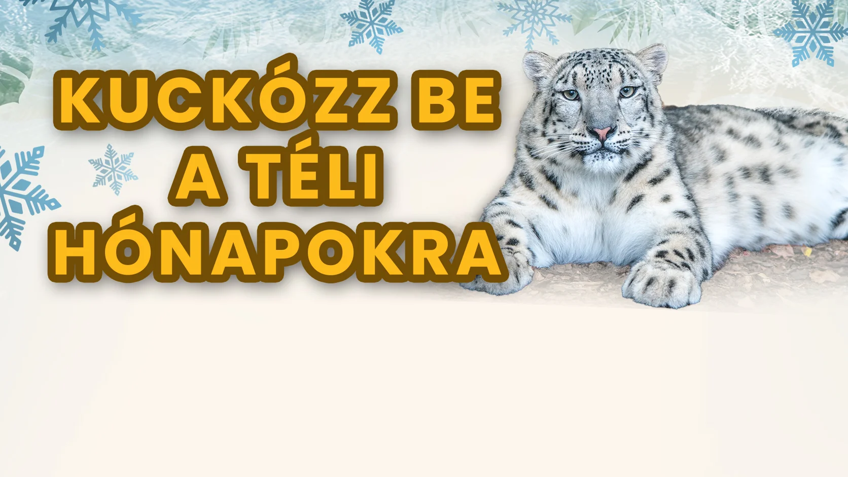 KUCKOZOO | Kuckózz be a téli hónapokra!