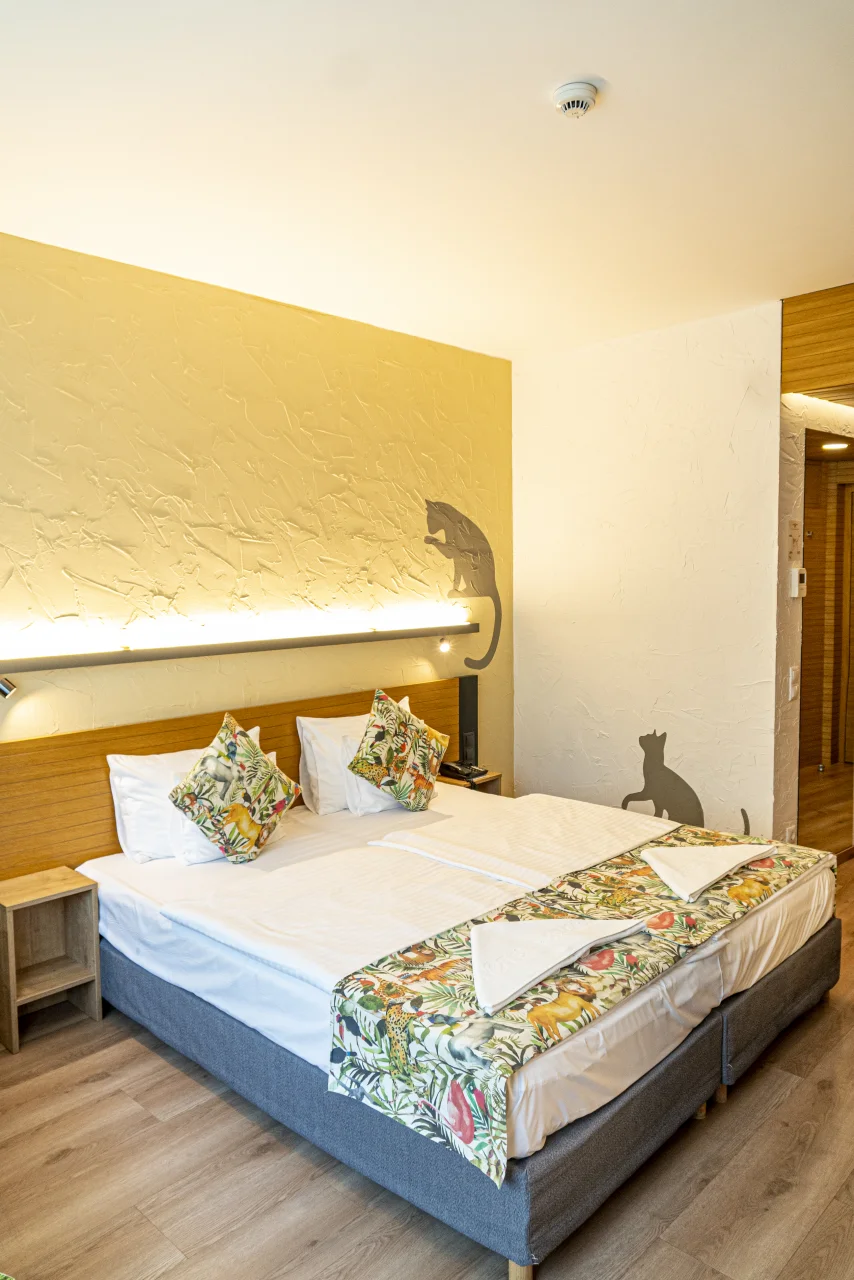 Standard double room