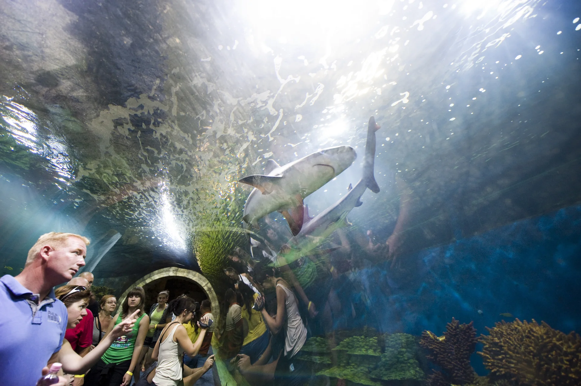 Zoo