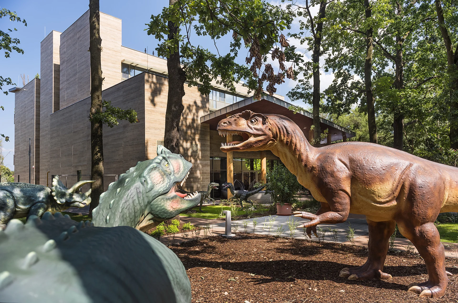 Dinosaur Playground
