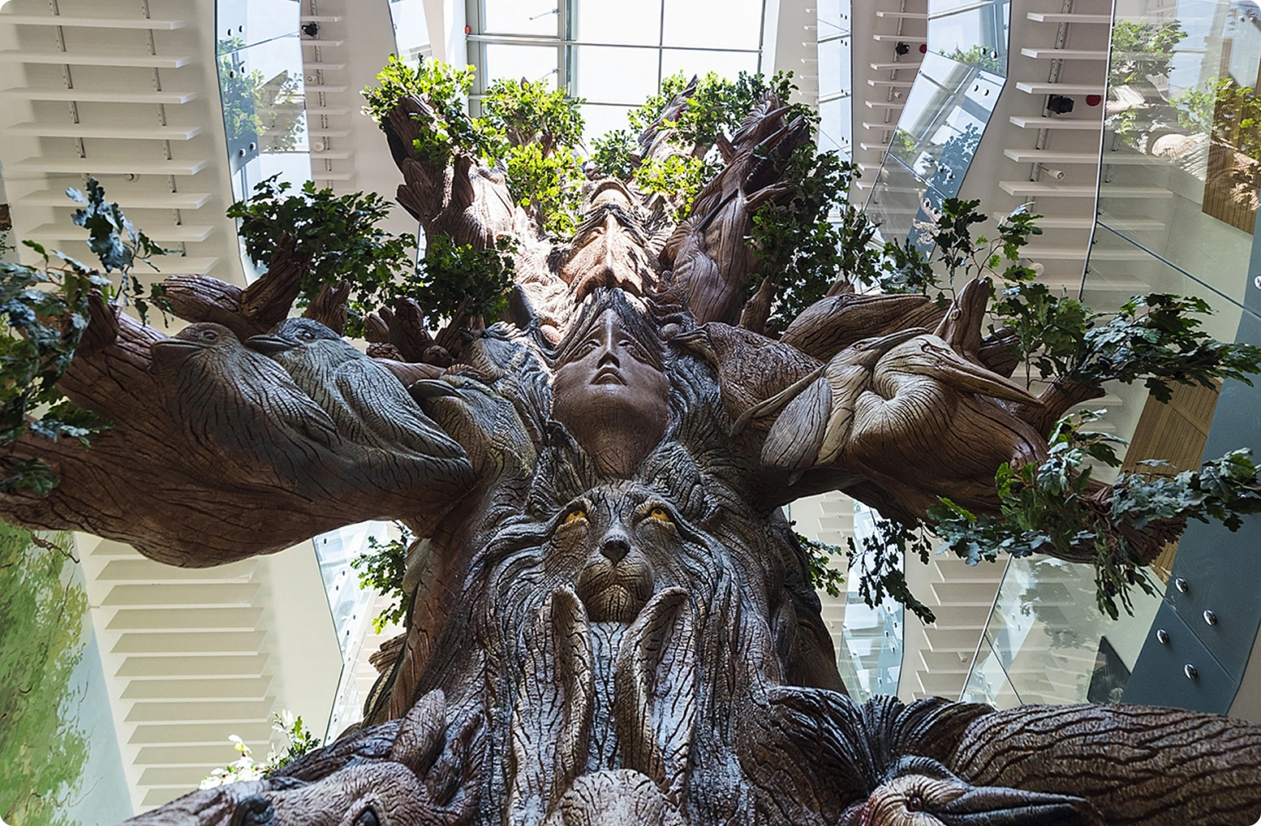 The Tree of Life