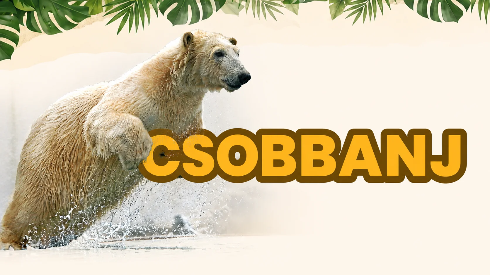 CSOBBANJ | Even more adventures, even more fun, now with a 10% discount!