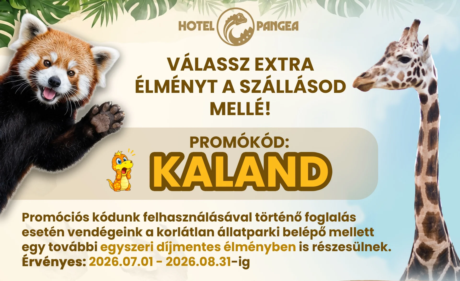 KALAND | Choose an extra experience to go with your stay!