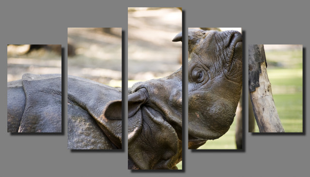 CITES exhibition