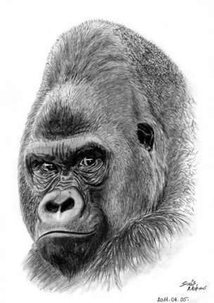 APE campaign in SostoZoo, Hungary