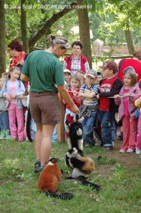 Gyermeknapon is vár rád az Állatpark!