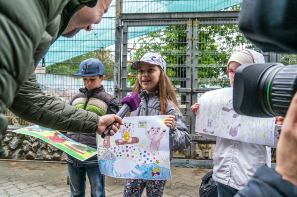 Ilyen volt a Boldog Maci Nap-az Állatparkban