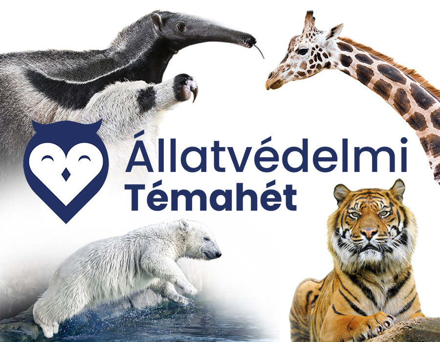 Kedvezményes belépés az Állatvédelmi témahéten