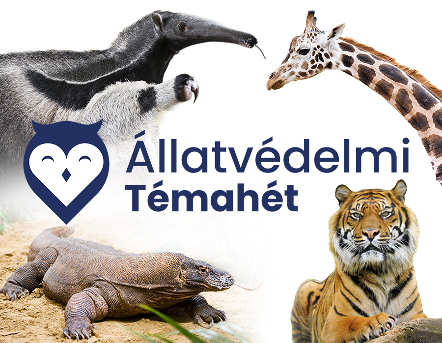 Kedvezményes belépés oktatási intézményeknek
