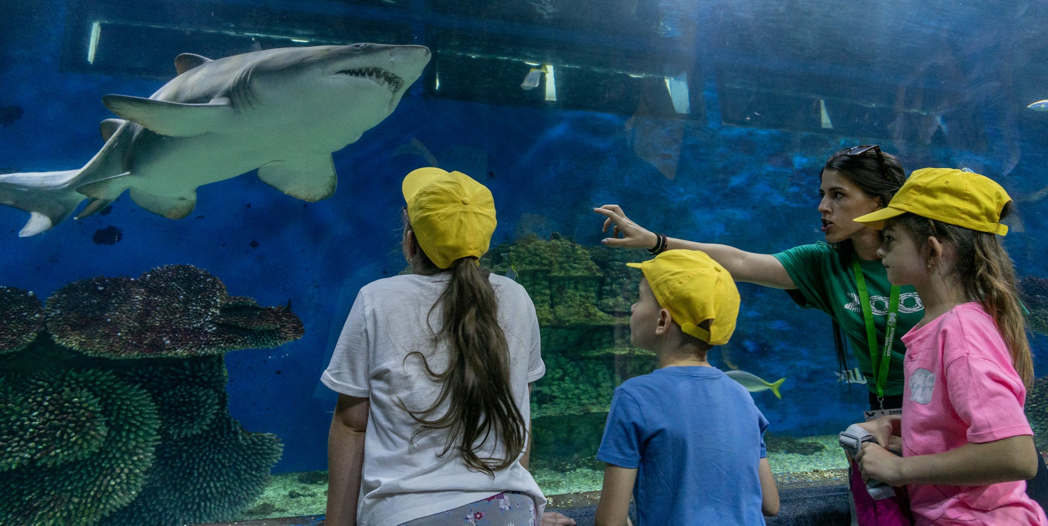 Március 3 a Vadvilág Világnapja