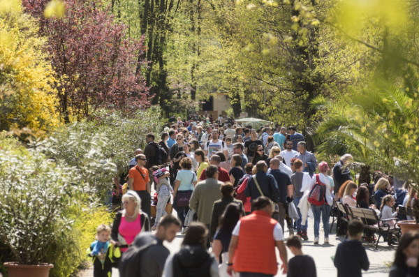 Rekordszámú érdeklődő töltötte Állatparkunkban a húsvétot