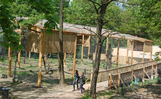 New aviary in Sosto Zoo!