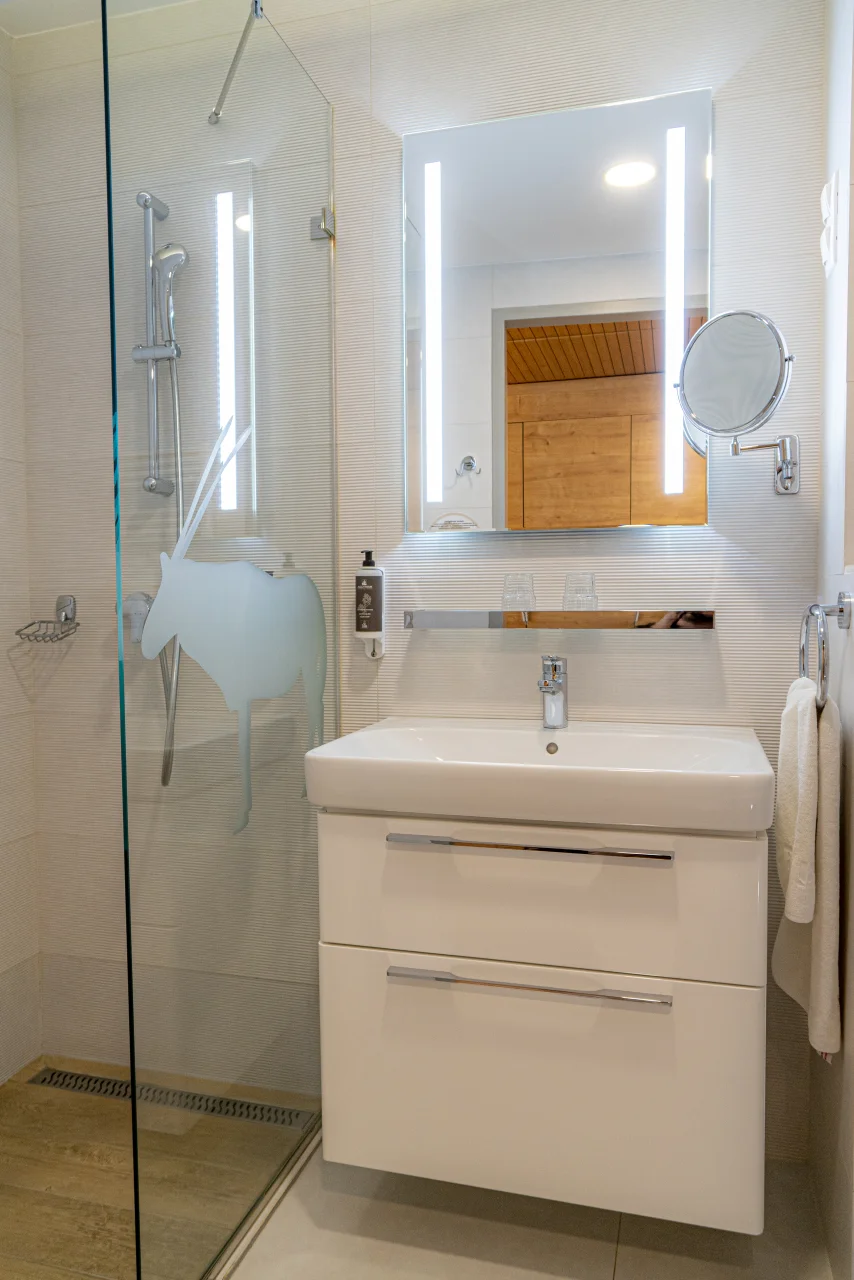 Standard double room