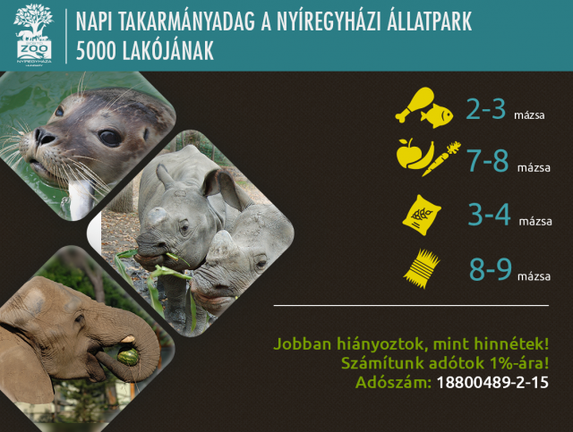 Jobban hiányoztok, mint hinnétek!