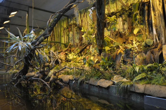 Amazonas- Nyíregyházán  Elkészült Állatparkunk újabb szenzációja, a Viktória Ház! 