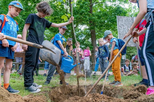 Idén is elültettük az év fáját a Nyírerdő ZRT. segítségével