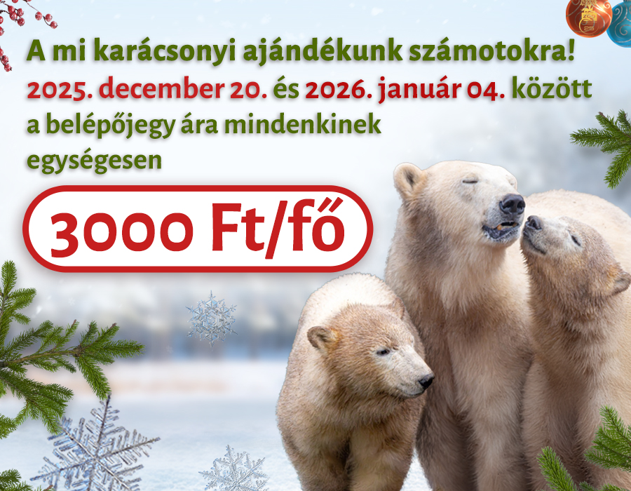 Kedvezményes belépés a téli szünetben