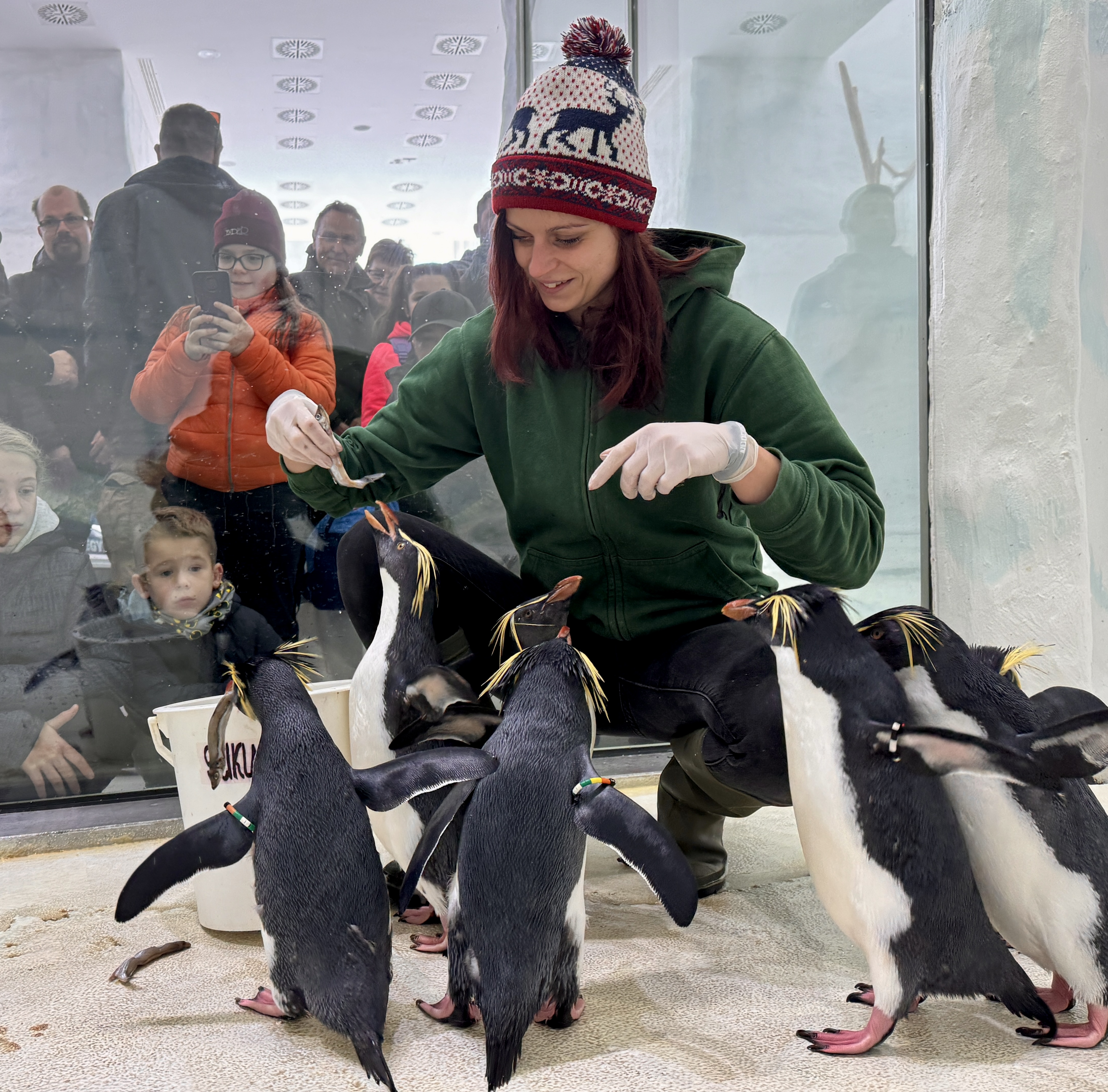 New arrivals at our Zoo's Ice World