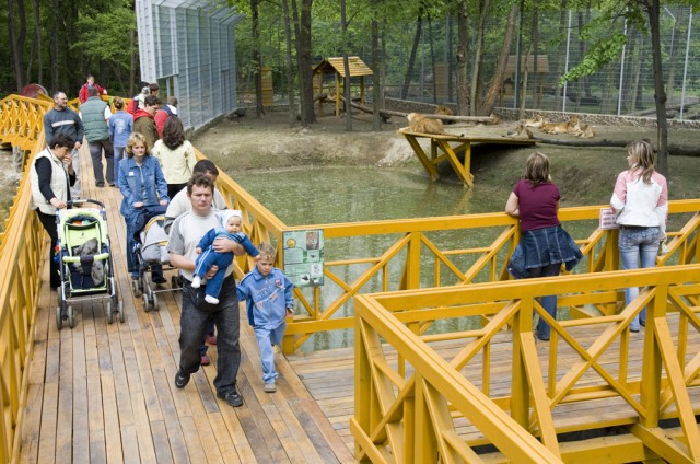 Okos telefonnal is felfedezhető az Állatpark!