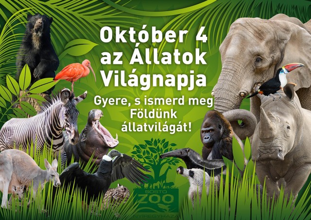 Október 4-én az Állatok Világnapján különleges programokkal várjuk vendégeinket